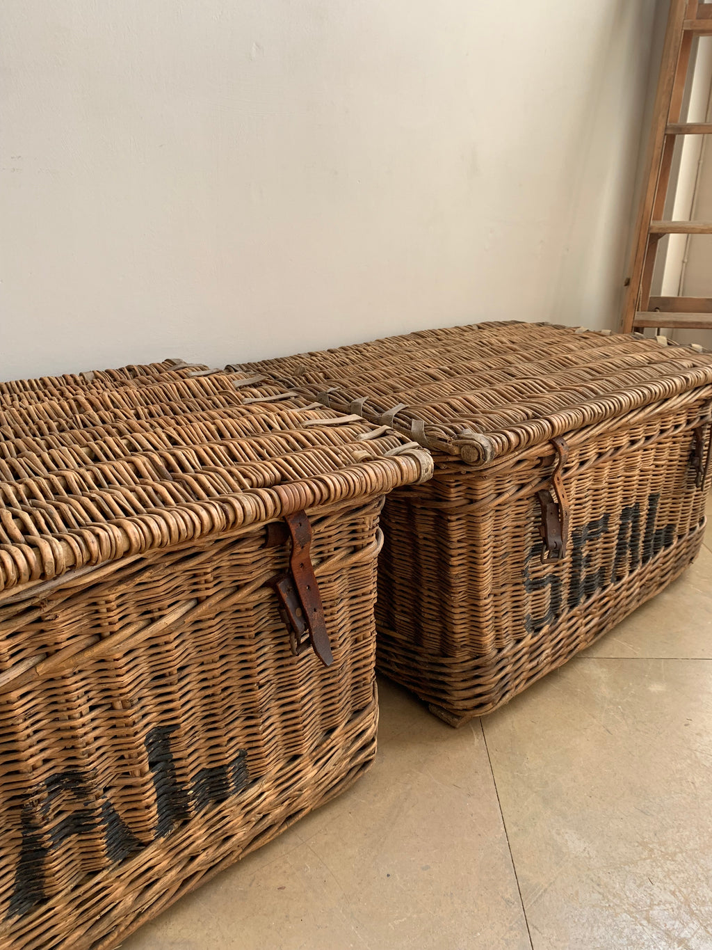Laundry Baskets - "Seal"