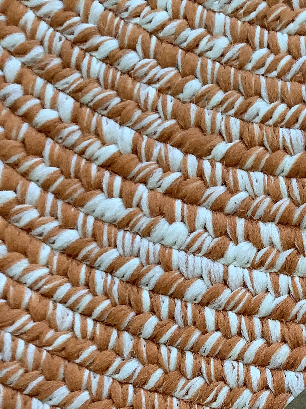 Braided_Rug_Round_3_No29